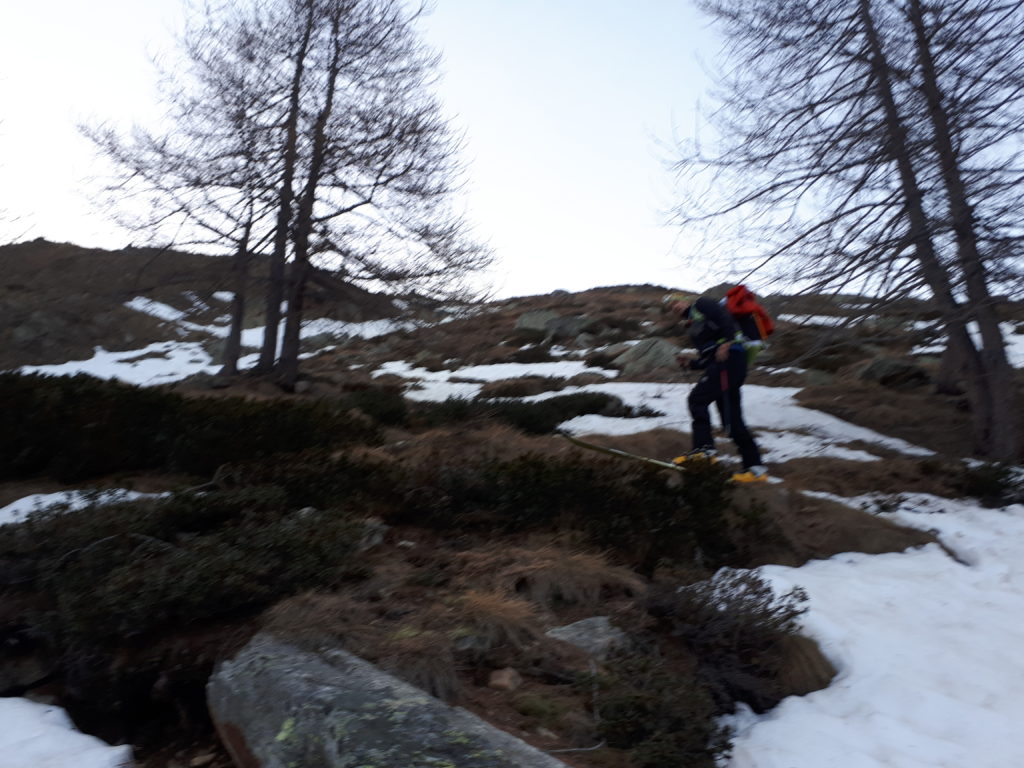 Buissons Marche d'approche - Grand Paradis